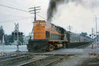 L216-Bay ShoreSHoskins.jpg (65477 bytes)